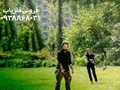 قیمت نقطه زن سیمپلکس