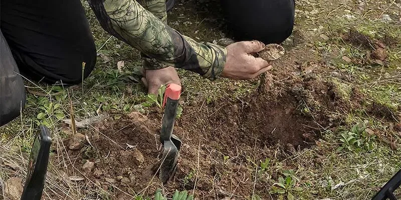 فلزیاب گوفایند 44 Go Find