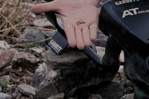 فلزیاب Ti Gold تی گلد